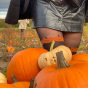 Pumpkin Tight - Black Mix