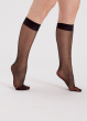 Curves 15 Denier Comfort Top Knee Highs 2 Pair Pack - Black